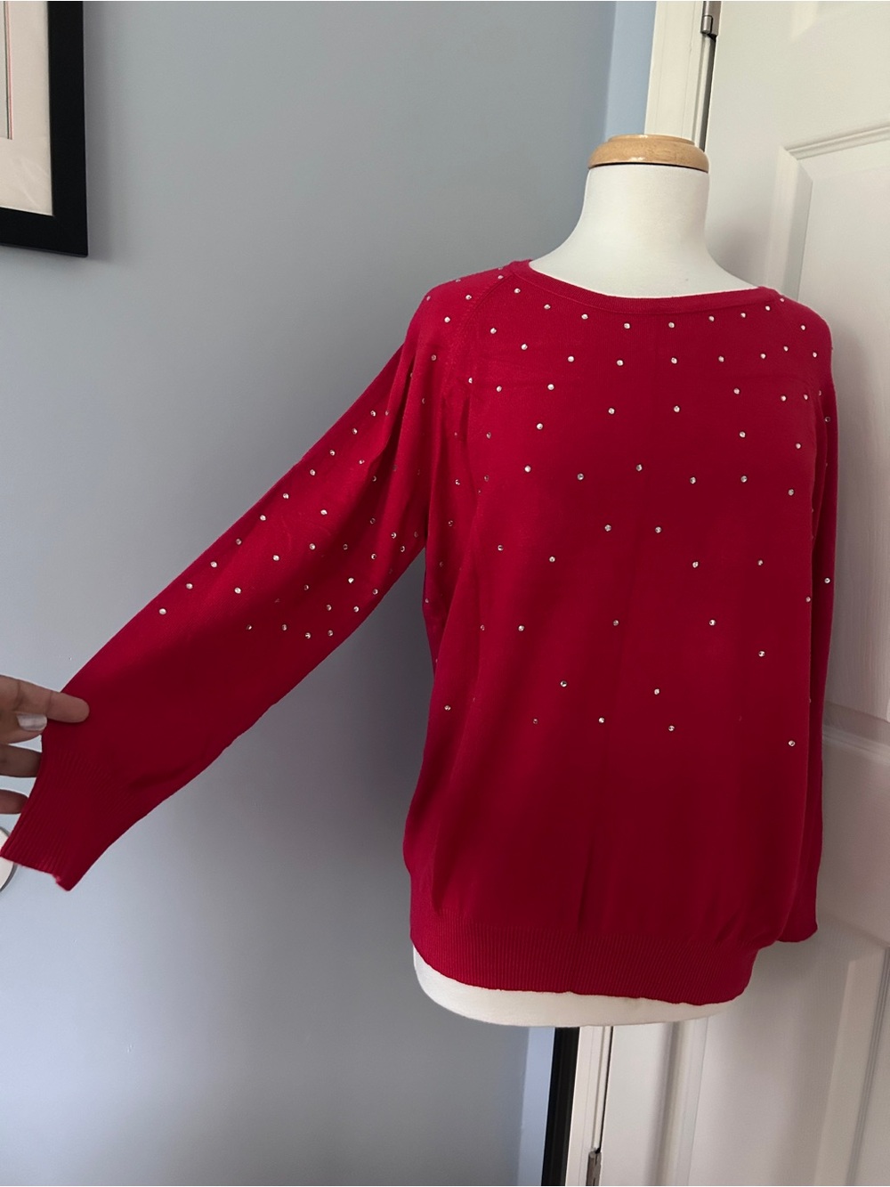 Red Embellished Crewneck Sweater - Women's